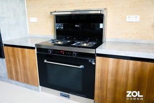 炬星風(fēng)暴 藍(lán)炬星集成灶大促即將震撼來襲