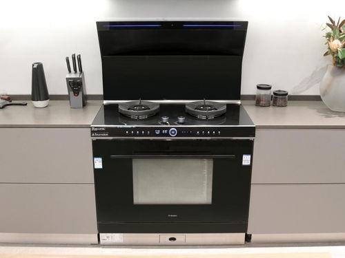 大師級(jí)蒸烤一體集成灶怎么選 顏值與科技缺一不可