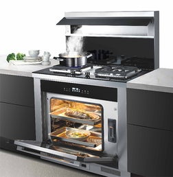 一個好的集成灶應該具備哪些 大吸力 易清洗......