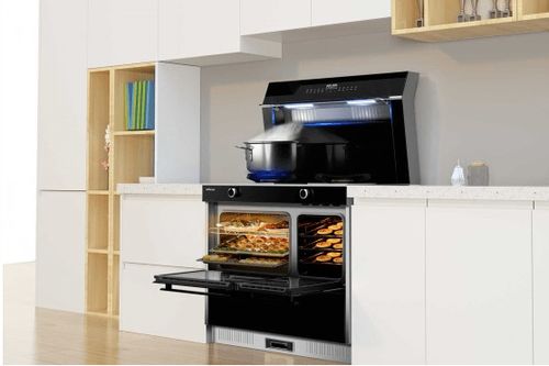 集成灶 廚房新物種，成長空間有多大